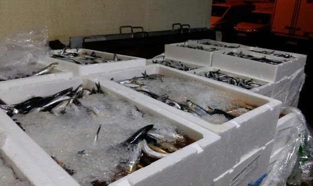 Incautan pescados vencidos y sin autorización en Tarija