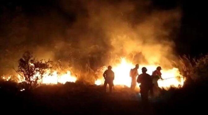 Bomberos logran extinguir el incendio forestal registrado en el Urubó