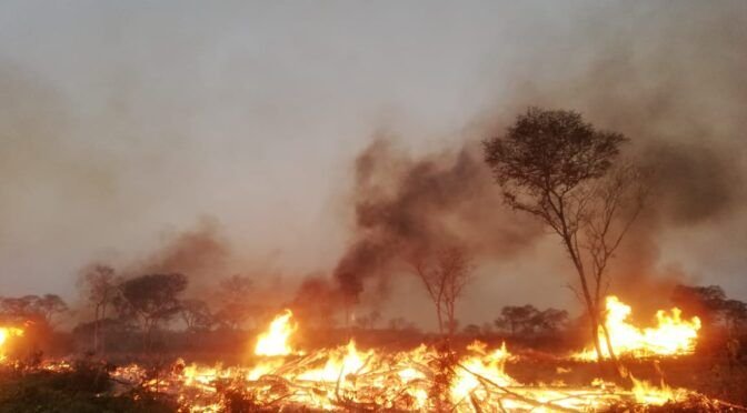 Bomberos logran extinguir el incendio forestal en el Urubó