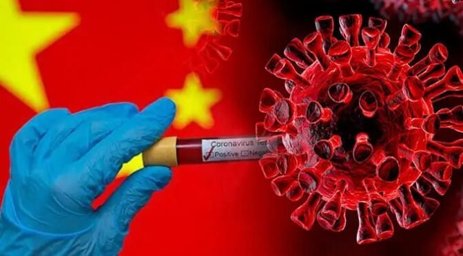 “Henipavirus” Nuevo virus origen animal detectado en China