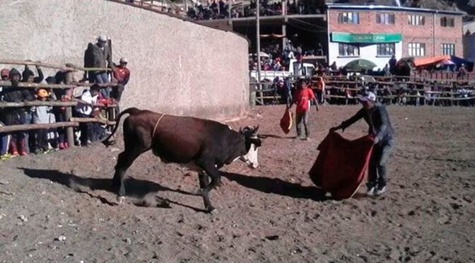 Corrida de toros deja un muerto y varios heridos en Yamparáez