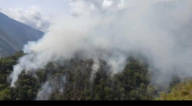 Bomberos reporta más de 1.132 focos de calor por incendios provocados en 7 regiones del país